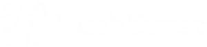 Logotipo do HashSense em branco